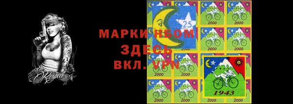 СК Алексин