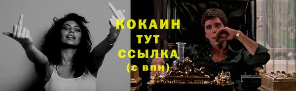 сатива Алзамай