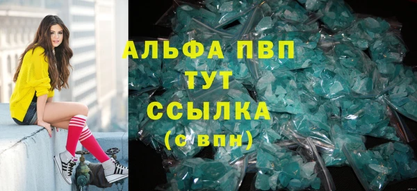 СК Алексин