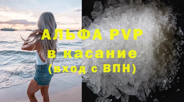 СК Алексин