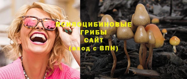 хмурый Алексеевка