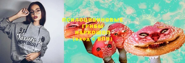 хмурый Алексеевка