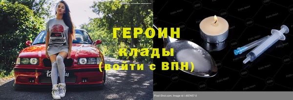 СК Алексин