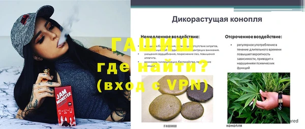 сатива Алзамай