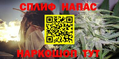 винт Новозыбков