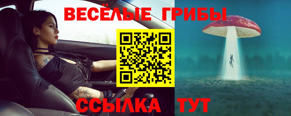 Галлюциногенные грибы GOLDEN TEACHER Чусовой